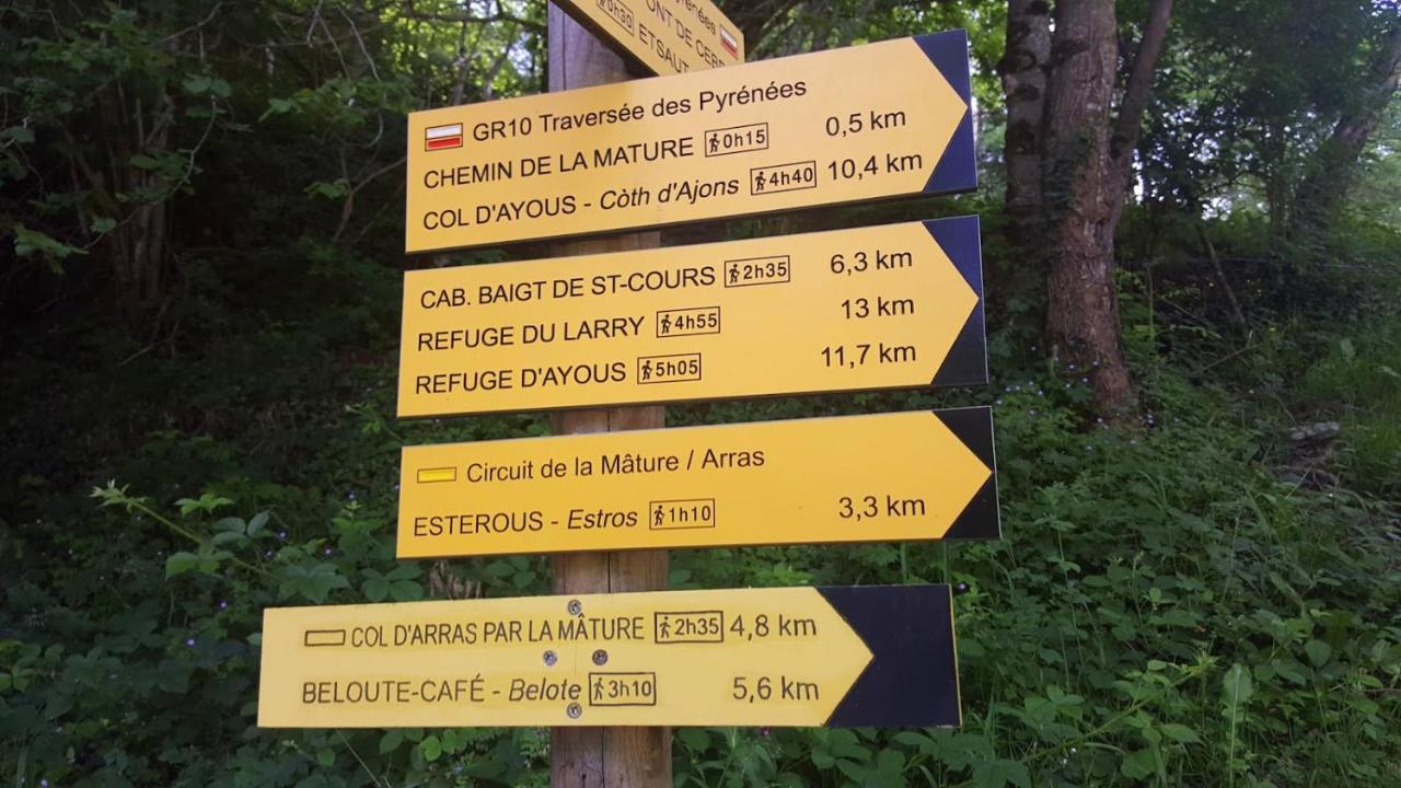 Le Gite Des Mousquetaires Lanne-en-Baretous المظهر الخارجي الصورة
